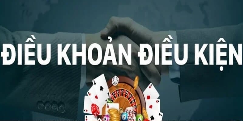 Cách cập nhật và theo dõi điều khoản mới